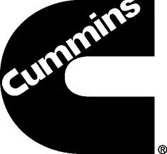 Logo de cliente: Cummins Argentina - Grupos Electrógenos IGG